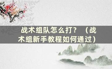 战术组队怎么打？ （战术组新手教程如何通过）